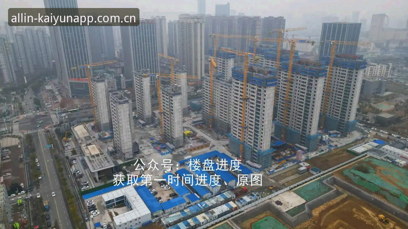 开云下载地址评测：2024年最新入口与高效访问方案详解